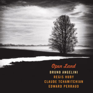 Open Land-angelini