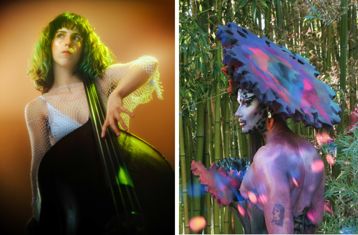 knobil + Aka puissance